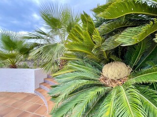 Casa de vacaciones Nerja Grabación al aire libre 9