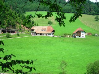 Apartment Biederbach Außenaufnahme 6