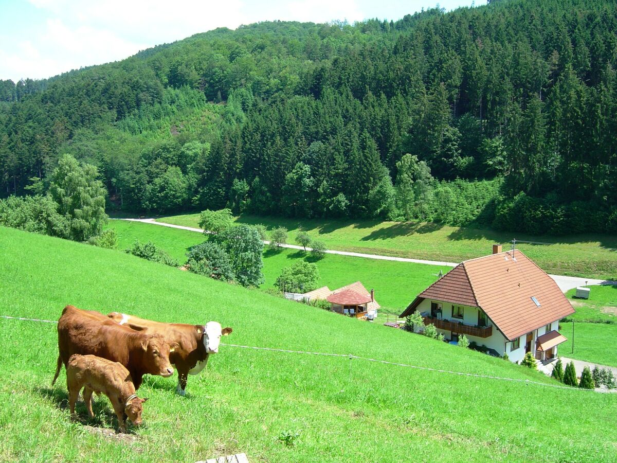 Apartment Biederbach Außenaufnahme 7