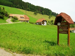 Appartement Biederbach Omgeving 16