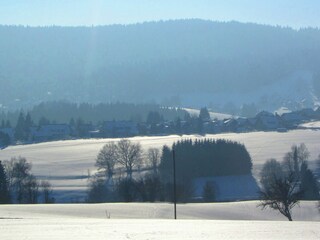 Appartement Herrischried Environnement 38