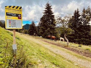 Apartment Chamrousse Umgebung 22