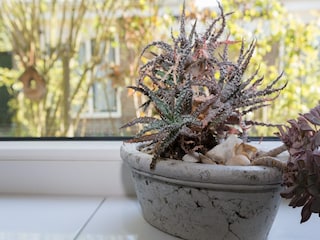 Casa per le vacanze Baarland  51