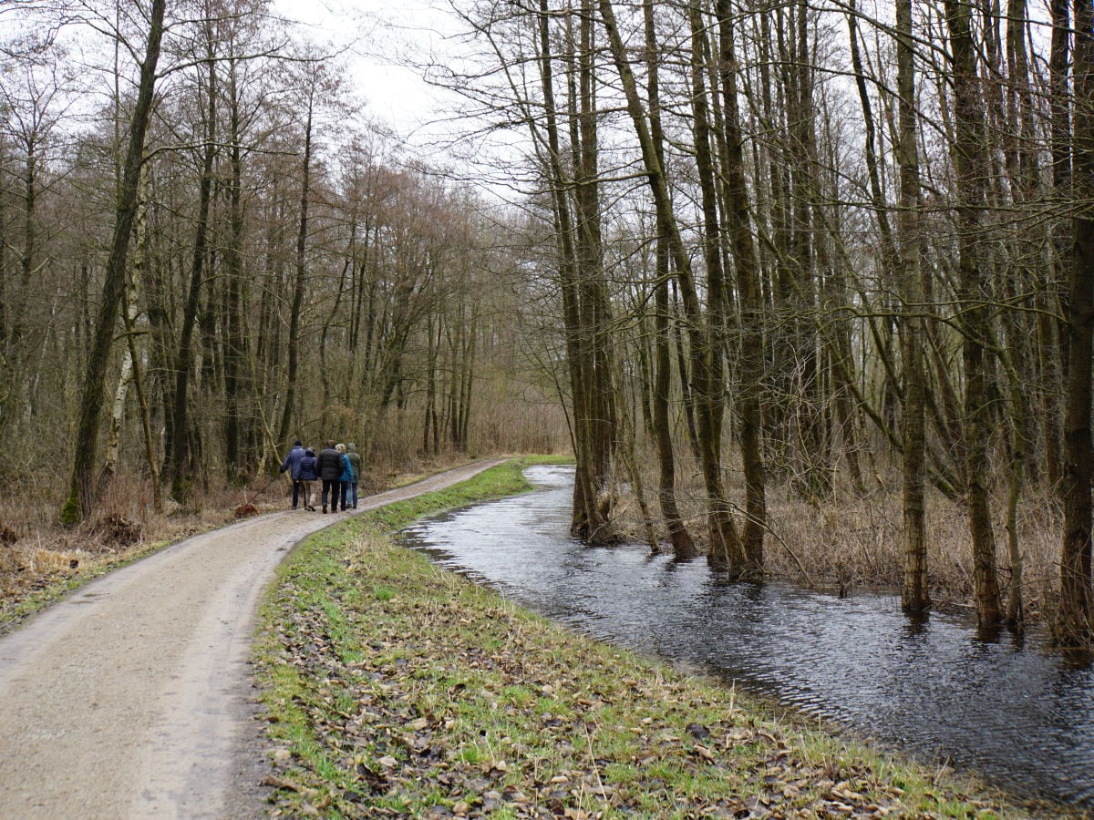 Herbstspaziergang - Wandelweg