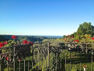 Blick auf Hügel & Meer