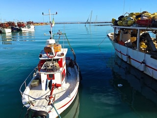 Fischerboote in San Benedetto