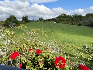 Blick vom Balkon