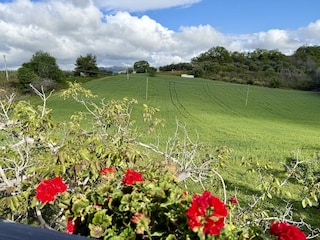 Holiday house Ripatransone Outdoor Recording 10