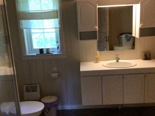 Ferienhaus Vatnestrøm  14