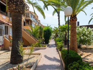 Apartment La Mata Außenaufnahme 18