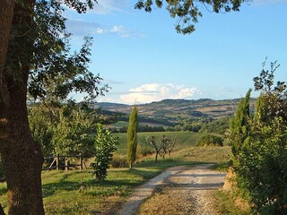 Frassino Ansicht