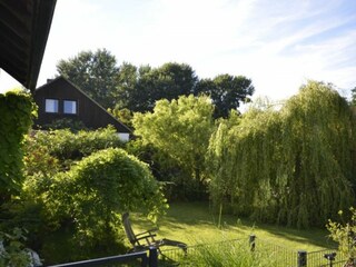 Blick in den eingezäunten Garten
