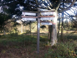 Holiday apartment Kirchhundem Environment 30