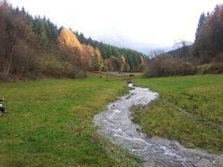 Holiday apartment Kirchhundem Environment 31