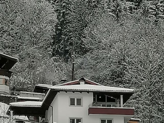 Ferienwohnung Ramsau im Zillertal Umgebung 21