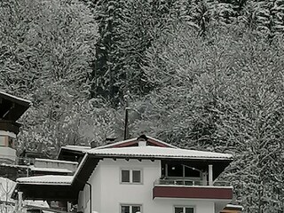 Holiday apartment Ramsau im Zillertal Environment 17