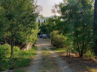 Park