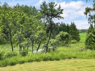 Ferienhaus Järlåsa Außenaufnahme 10