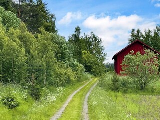 Ferienhaus Järlåsa Außenaufnahme 12