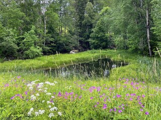 Ferienhaus Järlåsa  15
