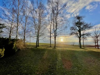 Blick in den Garten