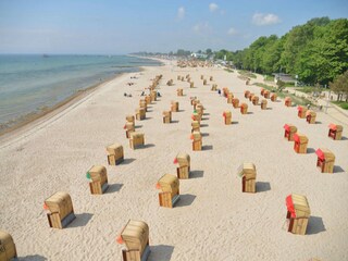 beach of Kellenhusen