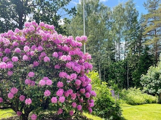 Ferienhaus Göteborg Außenaufnahme 8