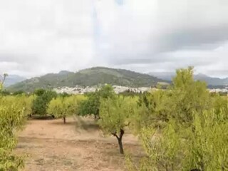 Casa per le vacanze Mancor de la Vall Ambiente 34