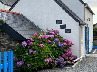 Holiday house Saint-Pabu Outdoor Recording 5