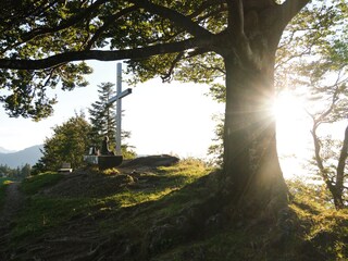 Wandern