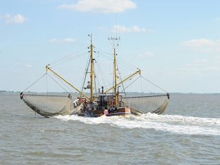 Krabbenfischer in der Nordsee