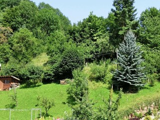 Appartement Struth-Helmershof Buitenaudio-opname 5