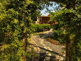 Rosenbogen und Garten