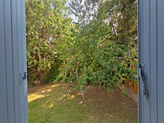 Holiday house Forcalquier Outdoor Recording 2