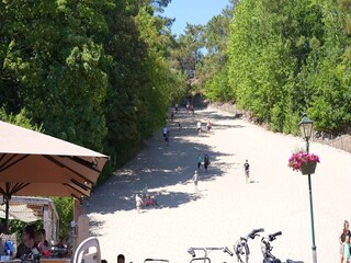 Vakantiepark Callantsoog Omgeving 20
