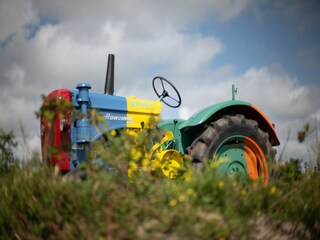 Ferienpark Callantsoog  35