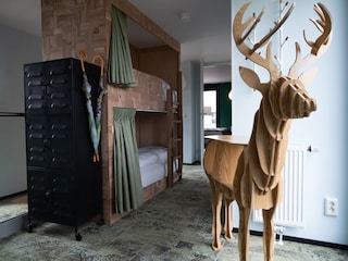 Parco vacanze Zandvoort Caratteristiche 10