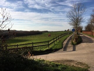 Parco vacanze Gulpen Ambiente 21