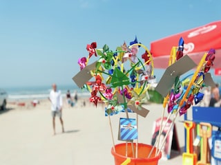 Ferienpark Zandvoort Umgebung 19