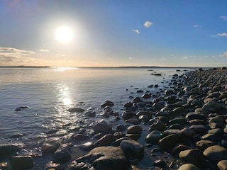 Maison de vacances Sønderballe  7