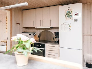 Ferienhaus Herning  5