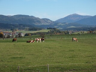 Ferienwohnung Mauterndorf Umgebung 14