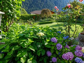 Blick in den Garten