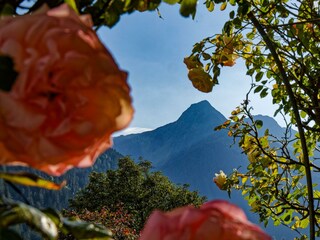 Blick in die Berge