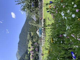 Blick auf die Berge