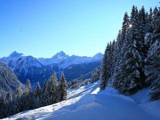 winter 22.1.2009 072