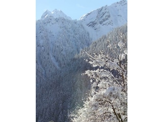 Aussicht aus der Panoramastube