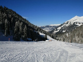 layola 2.teil  23.1.2008 180