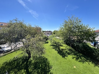 Grober garten mit gruner AuBenanlage