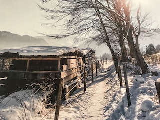 Spaziergang im Winter